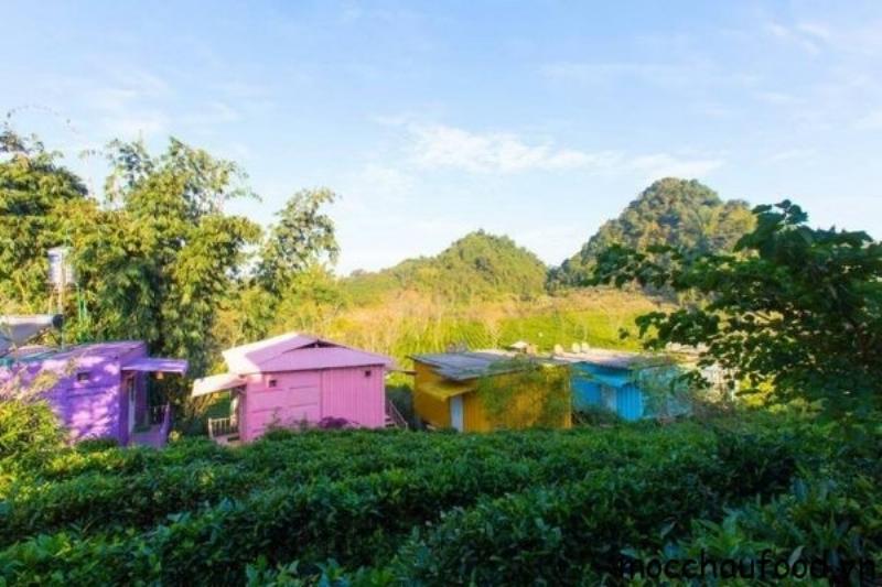 Một cặp đôi đang nắm tay nhau đi dạo trong khuôn viên xanh mát của Mama House Mộc Châu, thể hiện không gian lãng mạn.